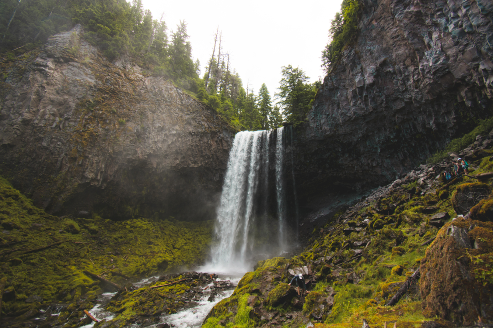 An image depicting the trail Tamanawas Falls via East Fork Trail and its surrounding area.
