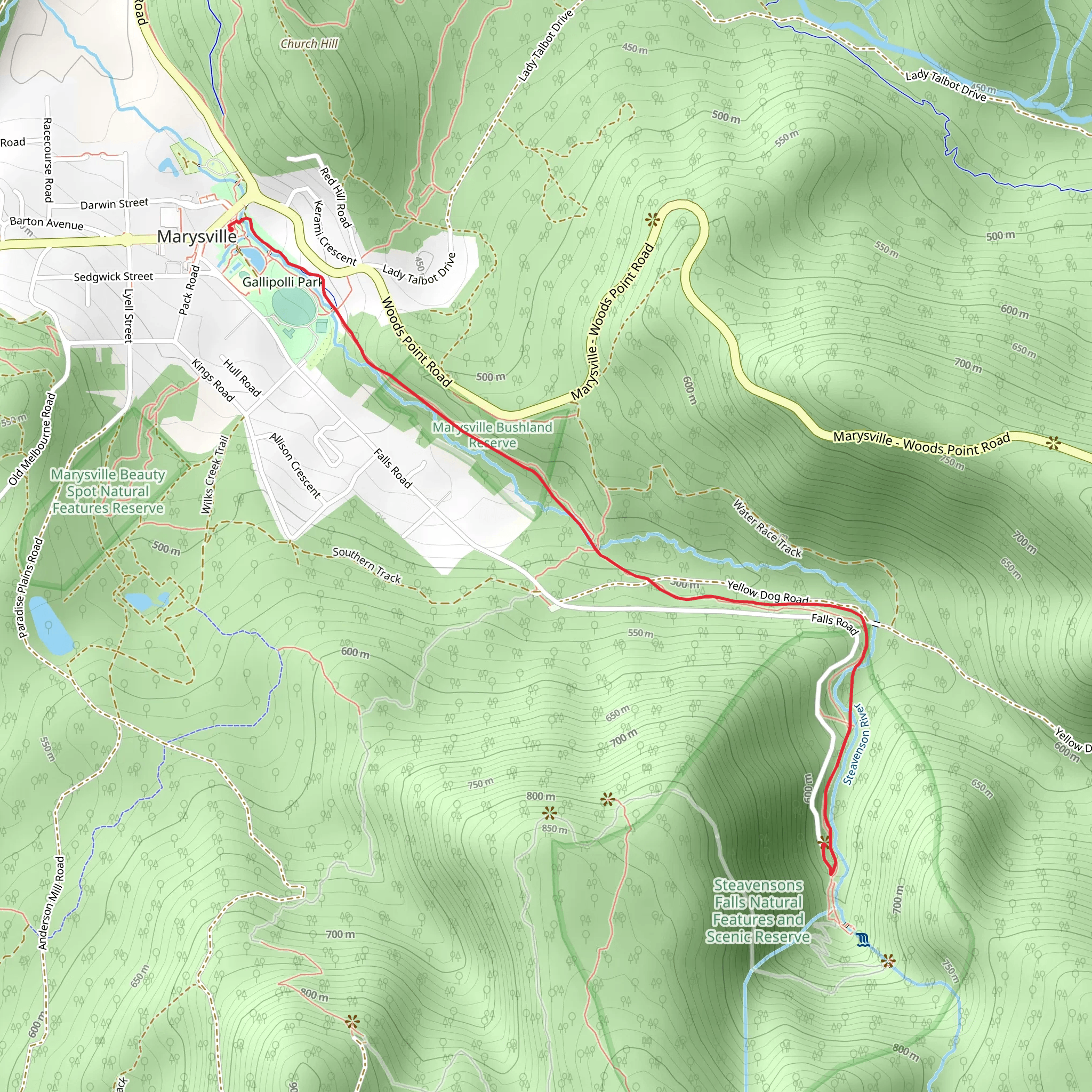 Tree Fern Gully Trail mobile static map