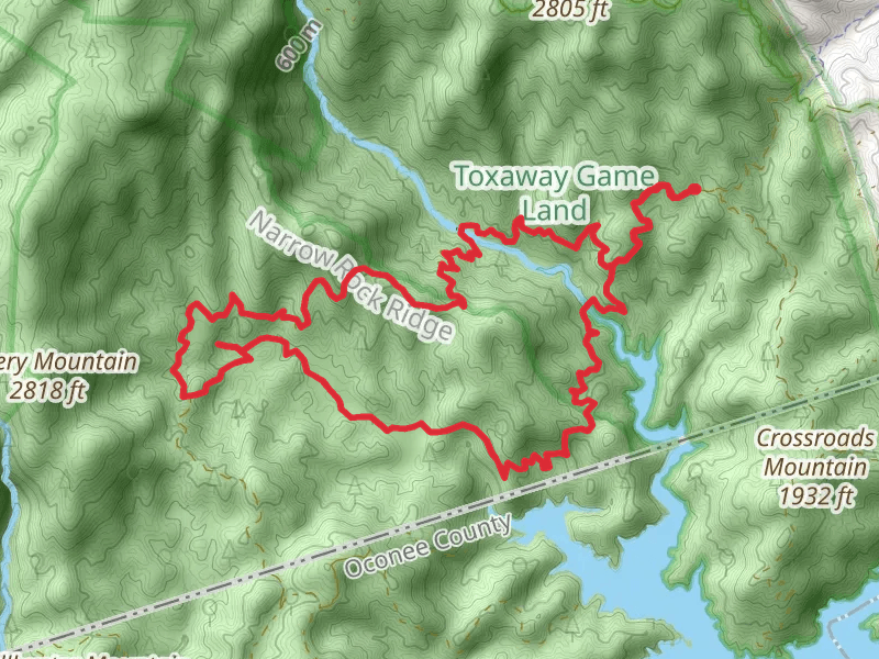 Auger Hole Road and Foothills Loop Trail