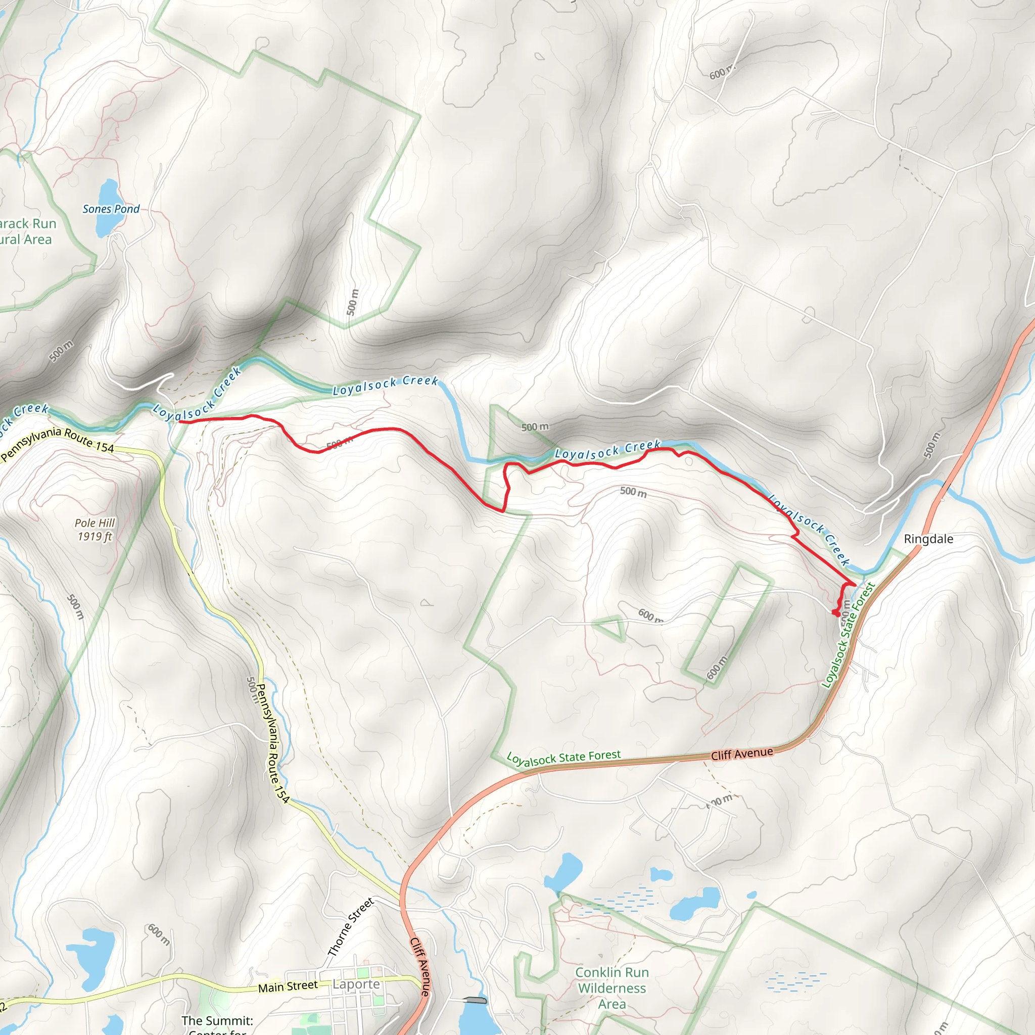 Loyalsock Creek and Rock Run Creek mobile static map
