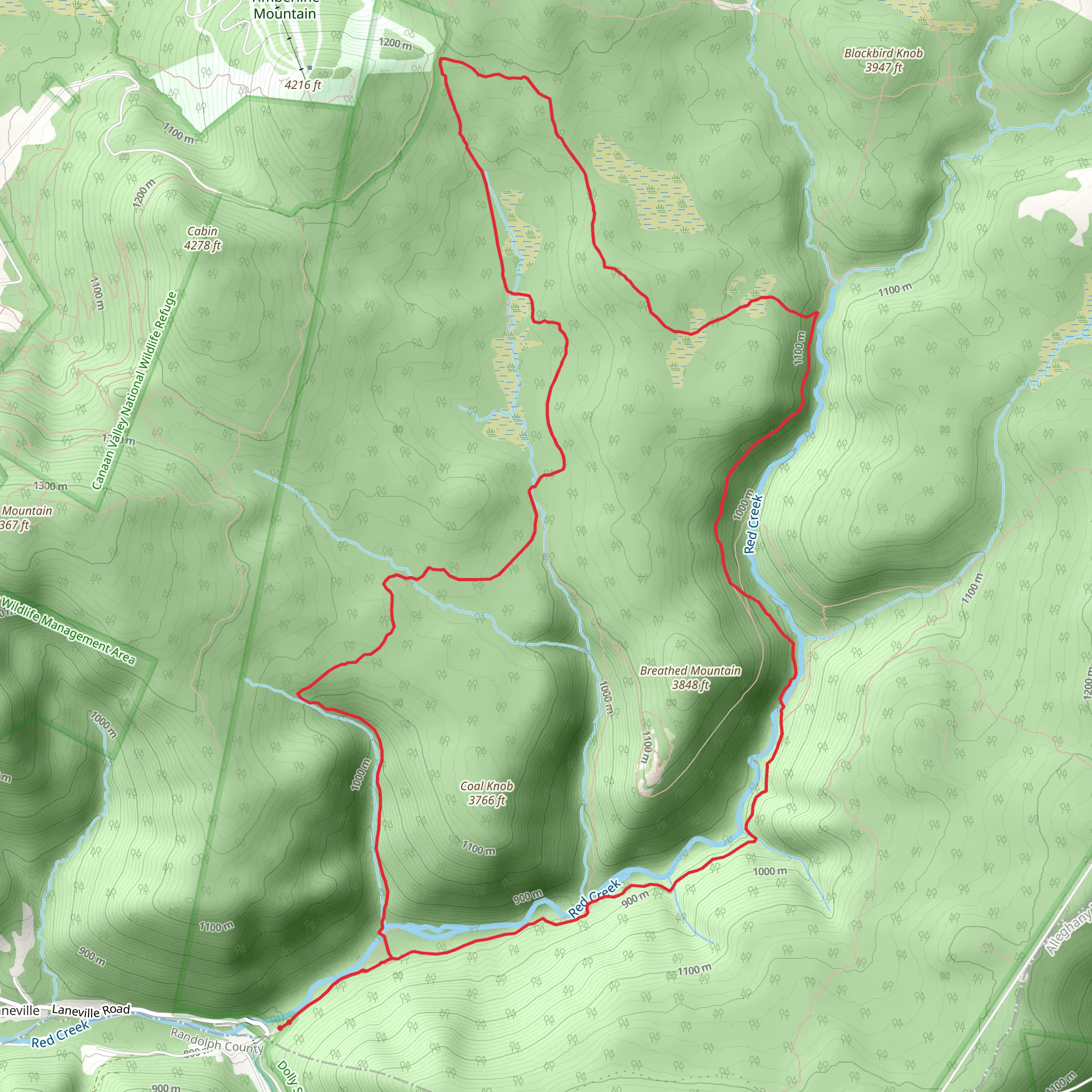 Red Creek Trail and Big Stonecoal Loop Trail mobile static map
