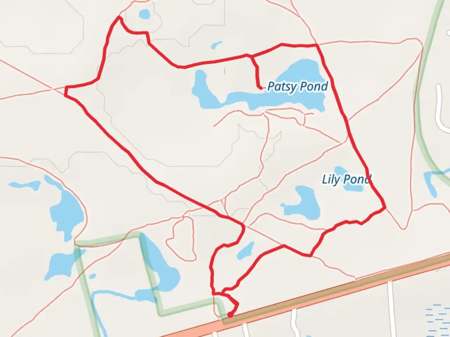 An image depicting the trail Patsy Pond Yellow Trail and its surrounding area.