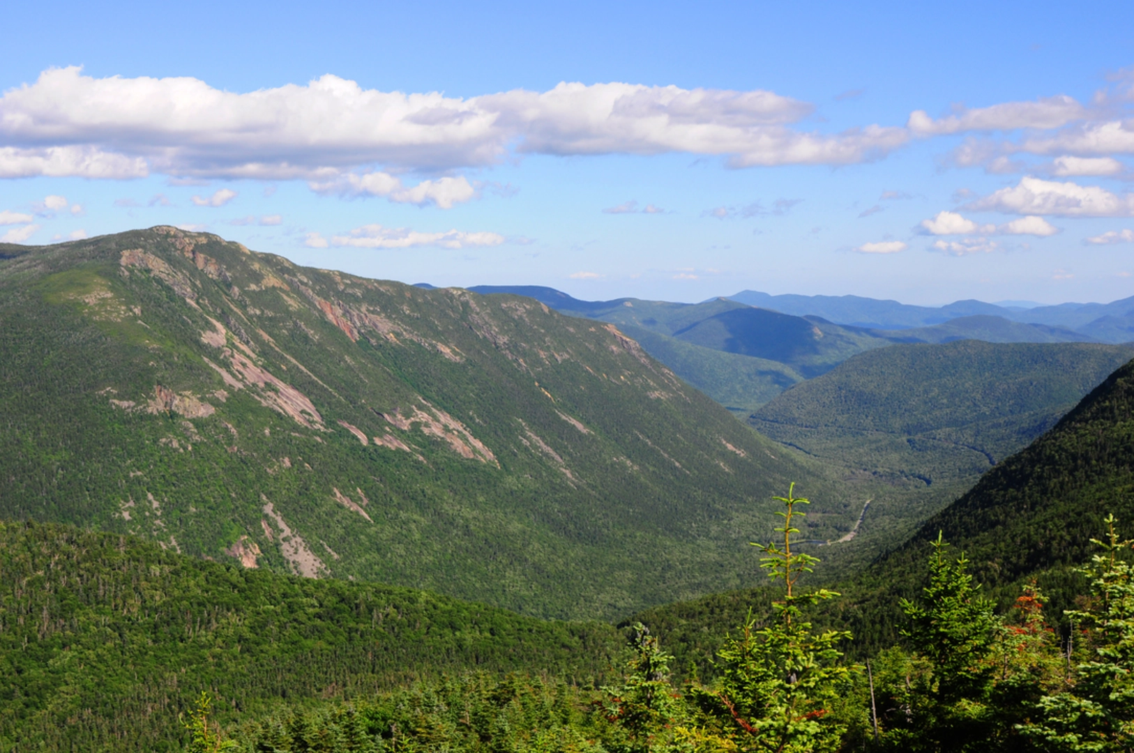 An image depicting the trail Willey Range Trail - Northbound and its surrounding area.