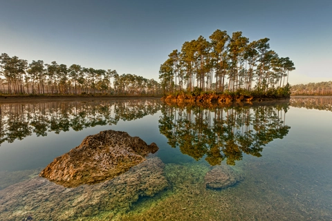 An image depicting the trail Long Pine Key Nature Gate 3 Trail and its surrounding area.