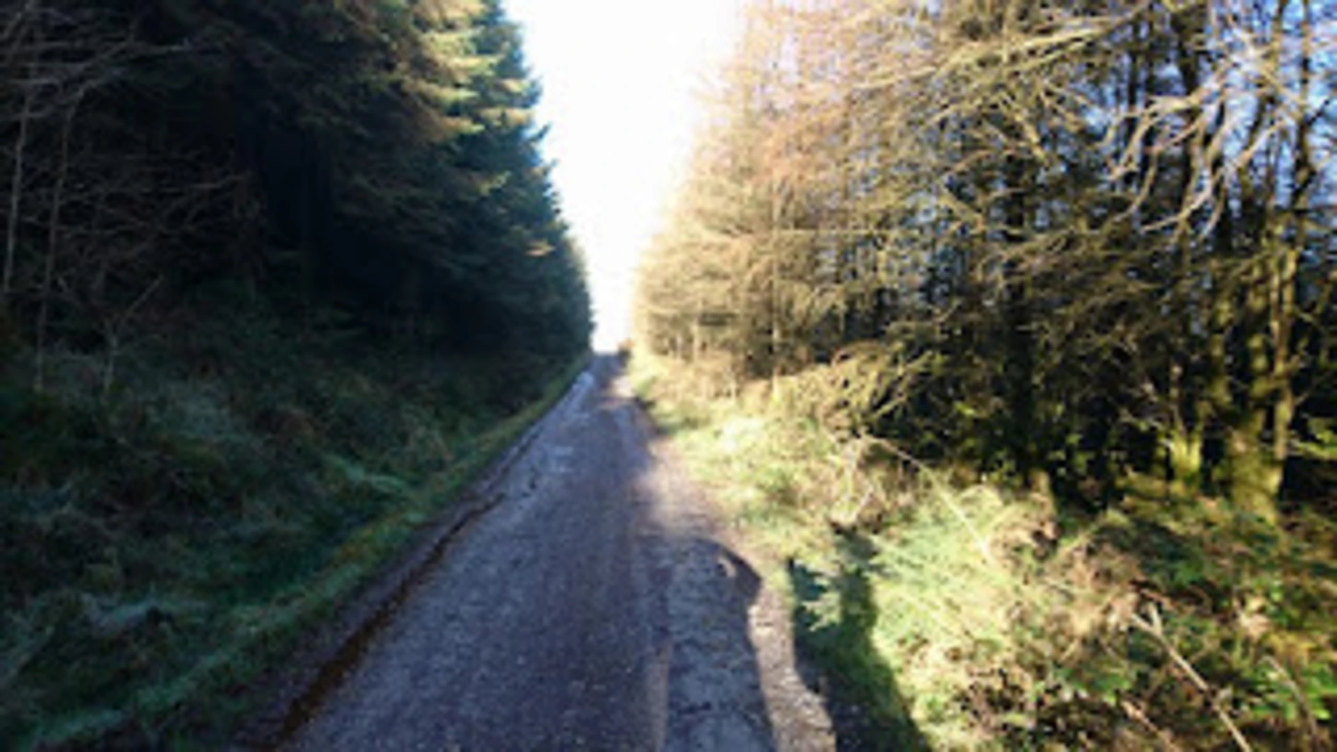 An image depicting the trail Killavullen Loop and its surrounding area.