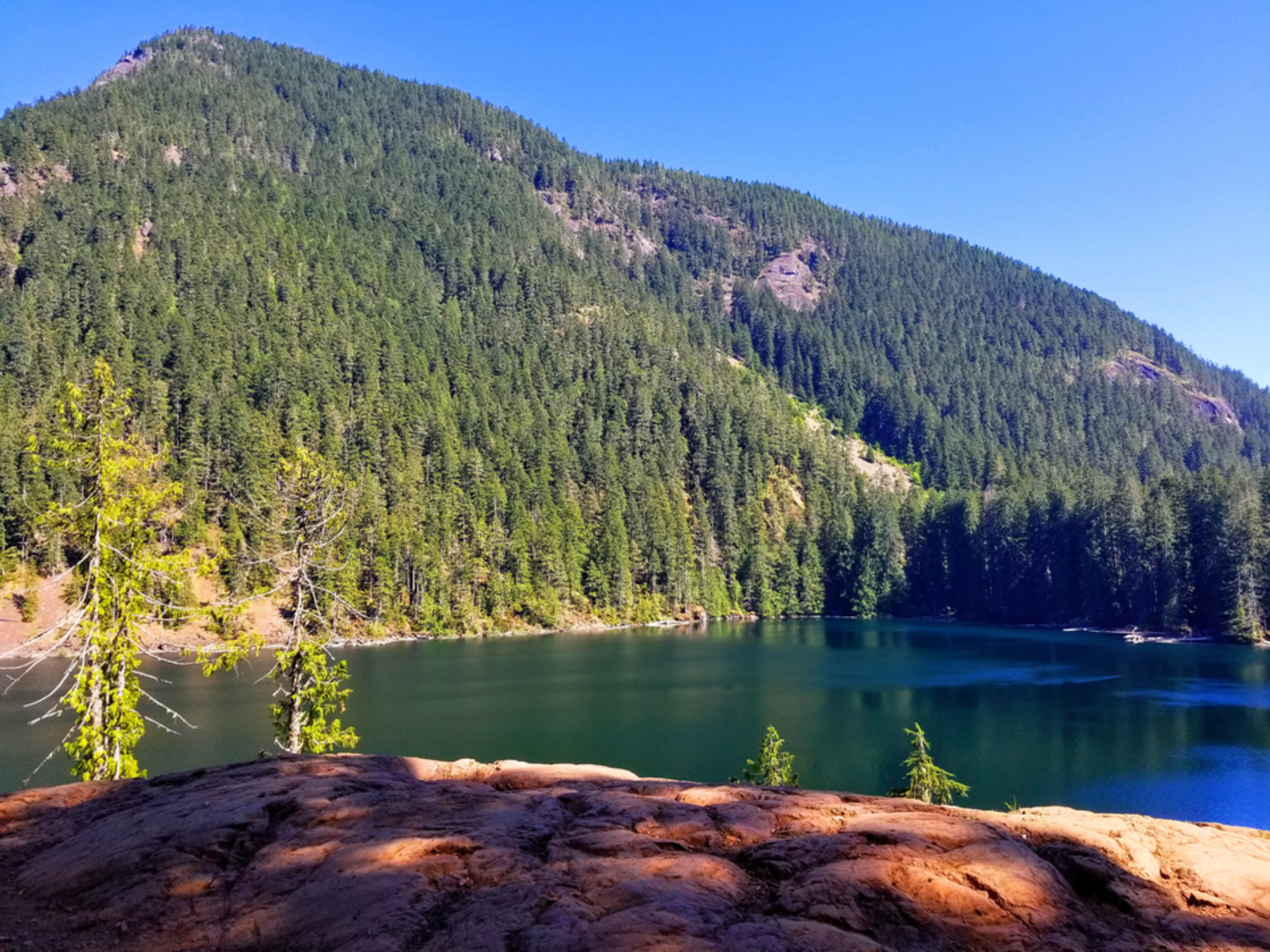 An image depicting the trail The Brothers Trail and its surrounding area.