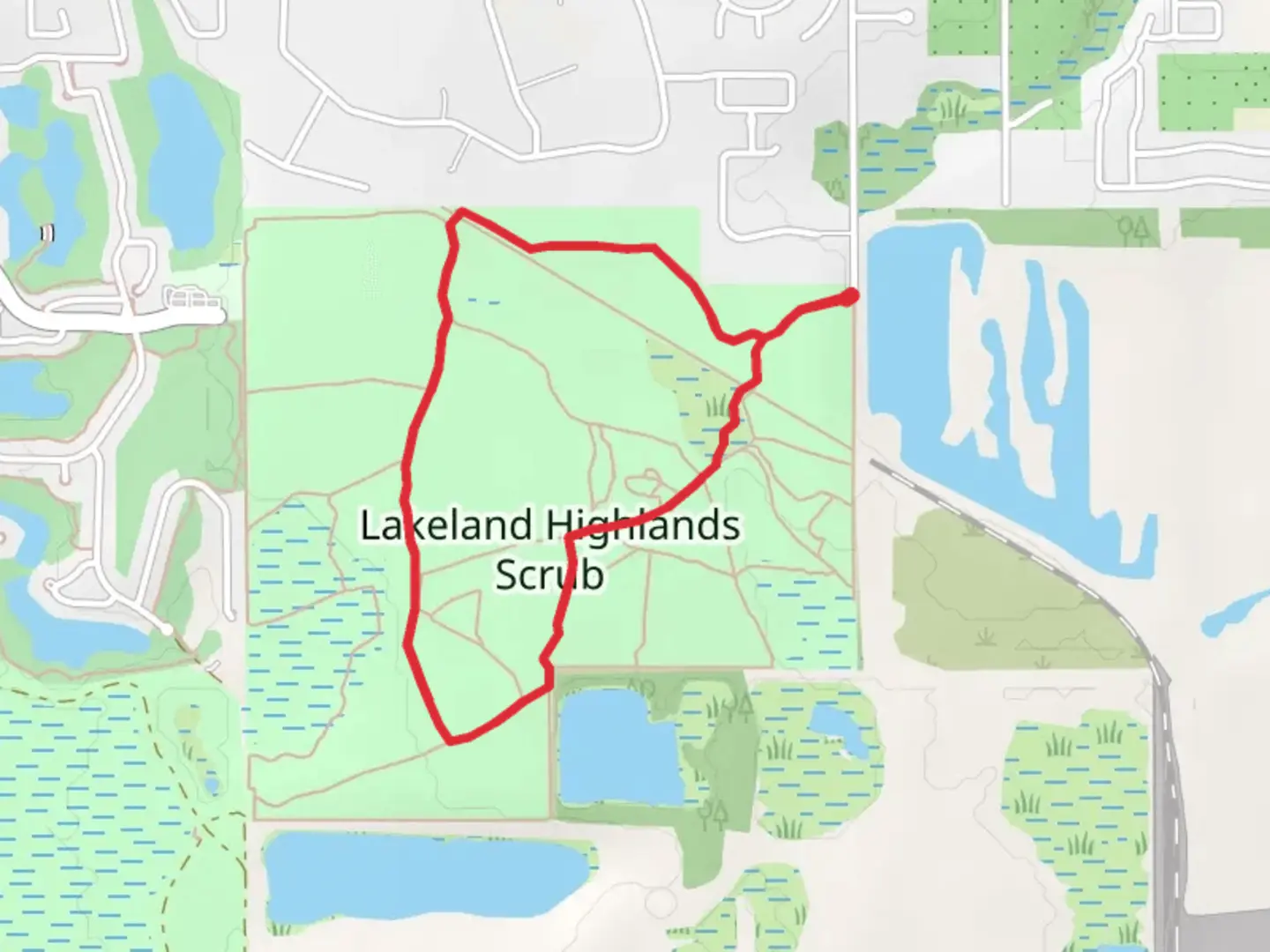 An image depicting the trail Lakeland Highlands Scrub Loop and its surrounding area.