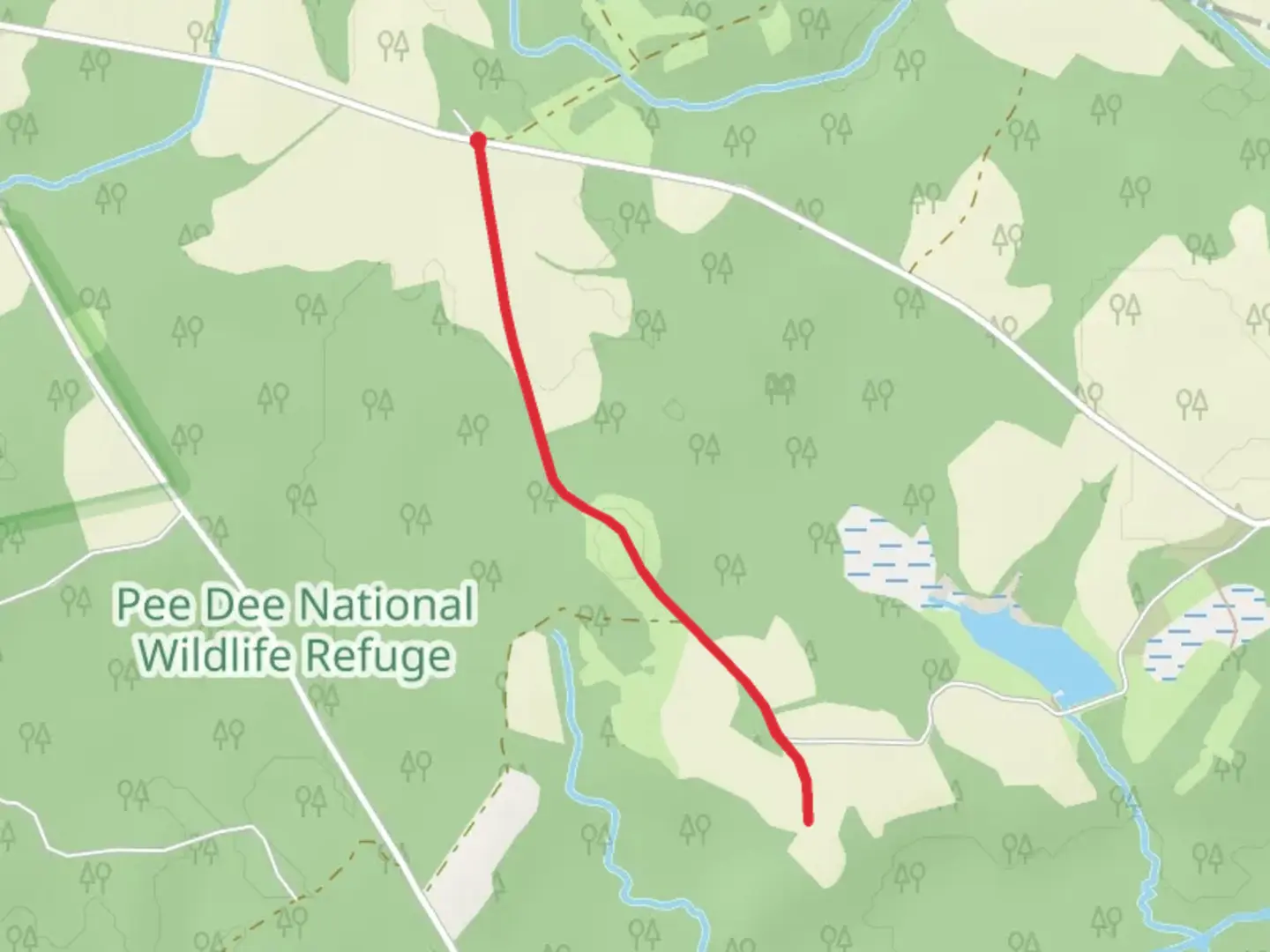 An image depicting the trail Big Oak Road Walk and its surrounding area.