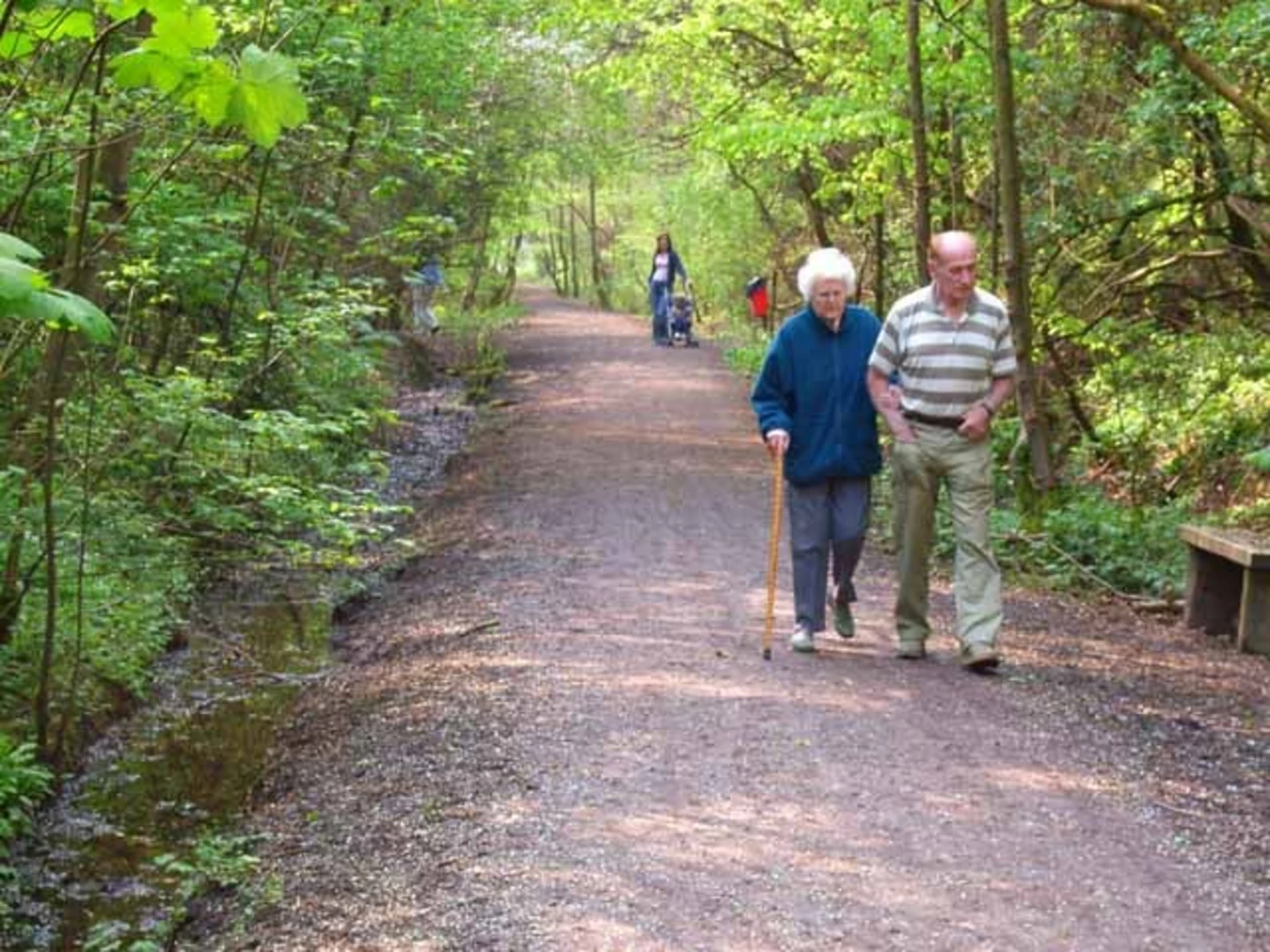 An image depicting the trail Wynyard Woodland Park Loop and its surrounding area.