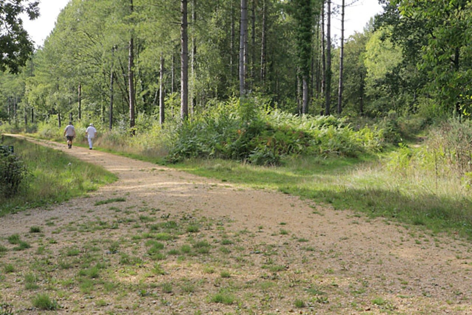 An image depicting the trail West Walk Loop - Woodend and its surrounding area.