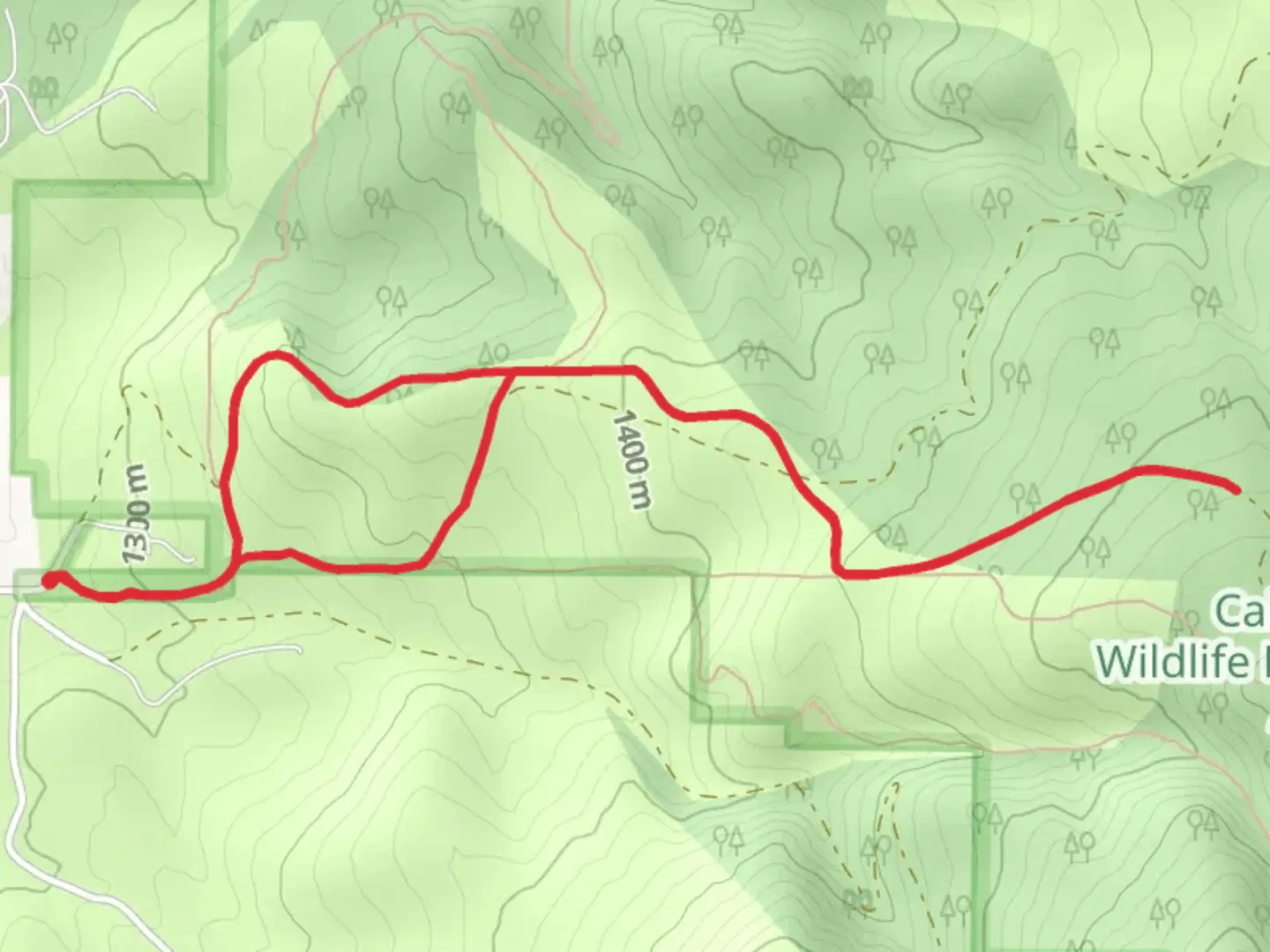 An image depicting the trail Calf Creek Loop and its surrounding area.