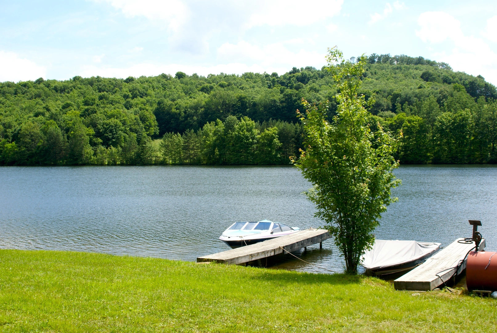 An image depicting the trail Bradys Pond Trail near Bradys Lake Loop and its surrounding area.