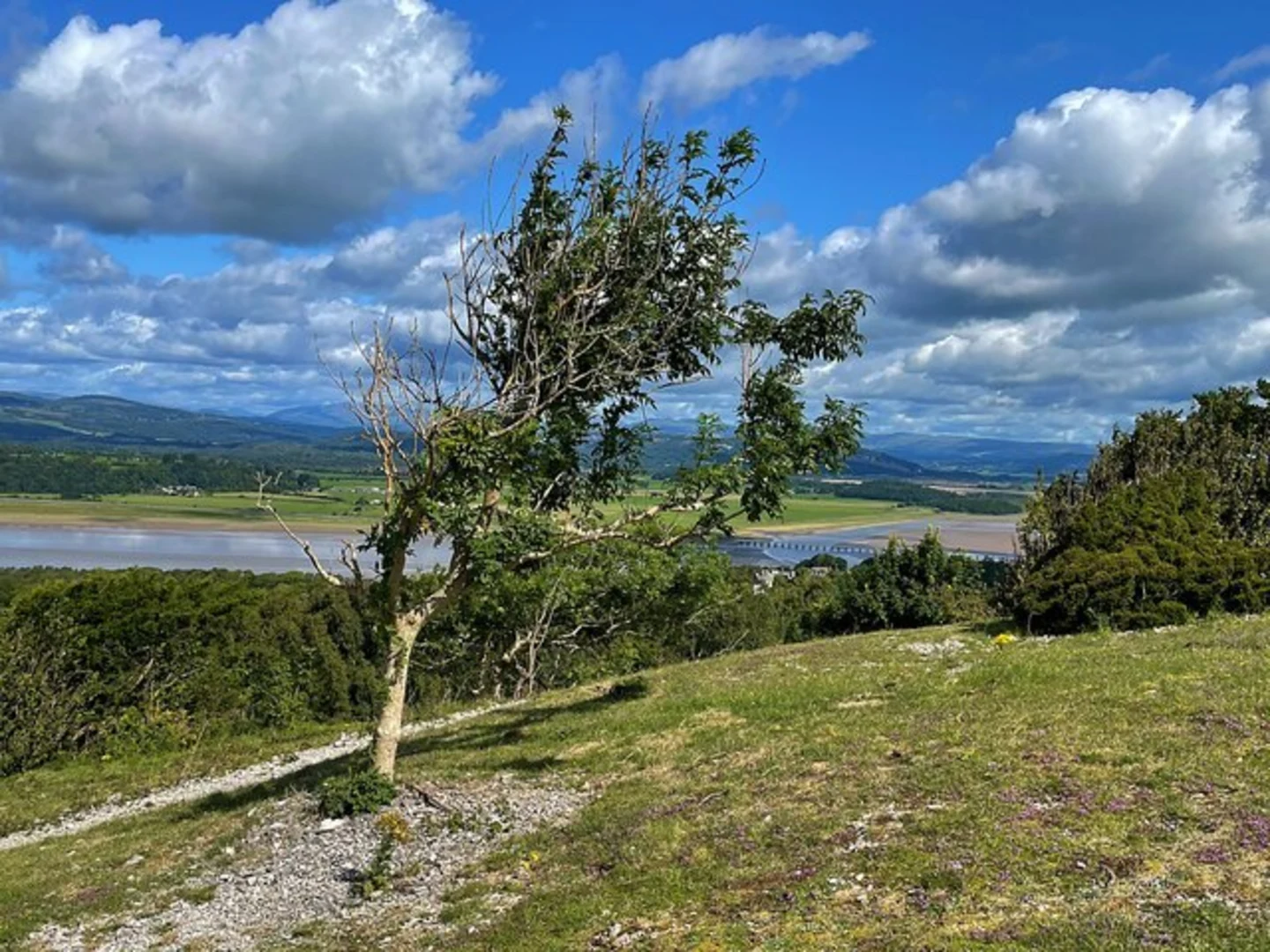 An image depicting the trail Arnside Knott Loop and its surrounding area.