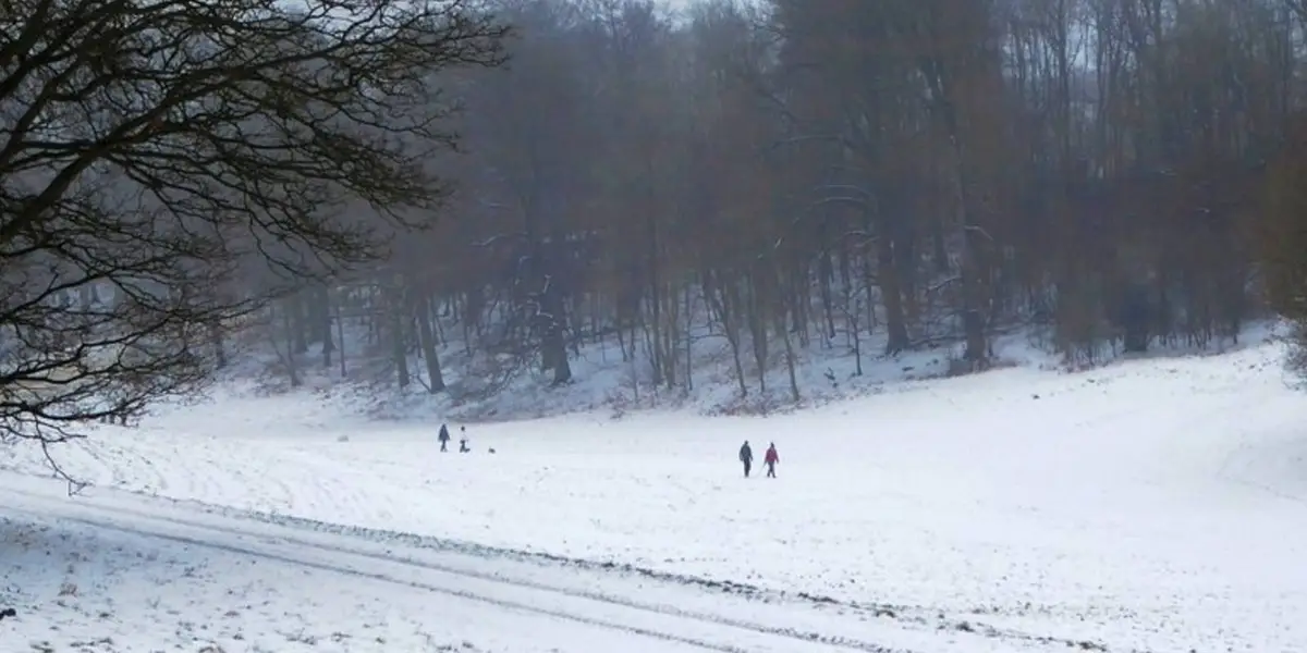 Golden Valley Ashridge Walk