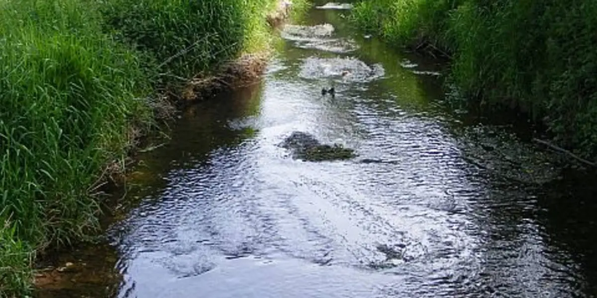 Castlemartyr - Mitchell's Wood Loop