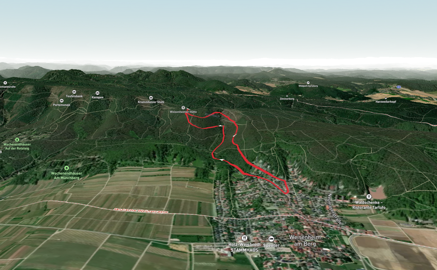 Weisenheim am Berg RW 3 and Weisenheim am Berg - Baenkeltour Loop