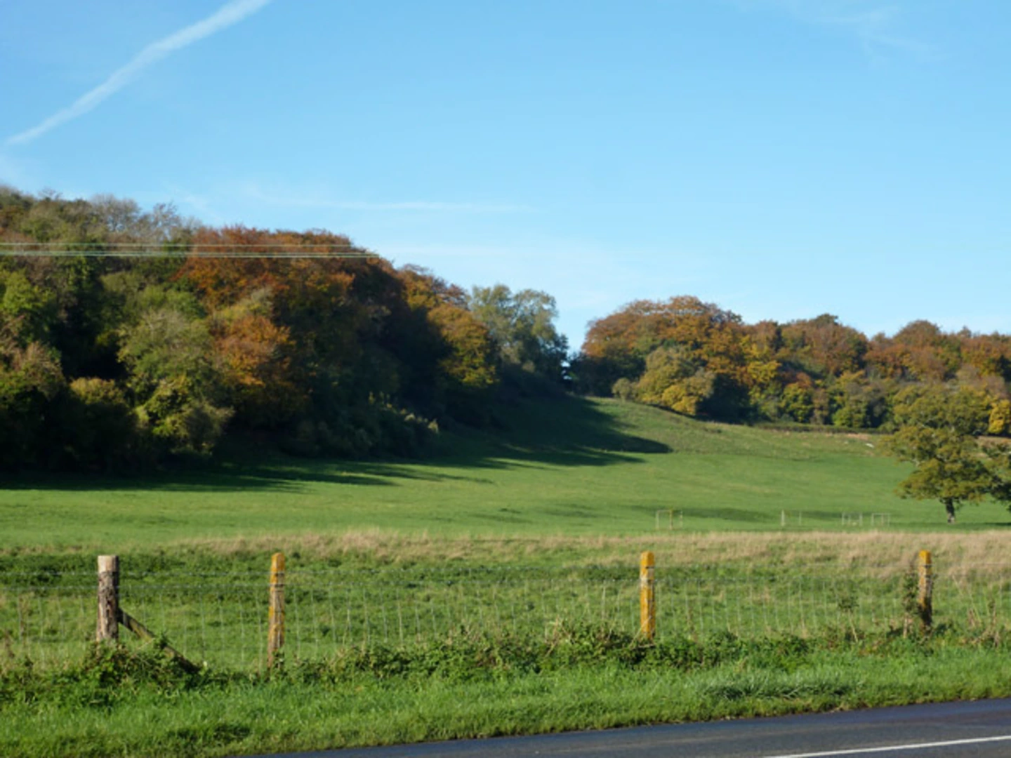 An image depicting the trail Stansted Maze and Lordington Loop and its surrounding area.