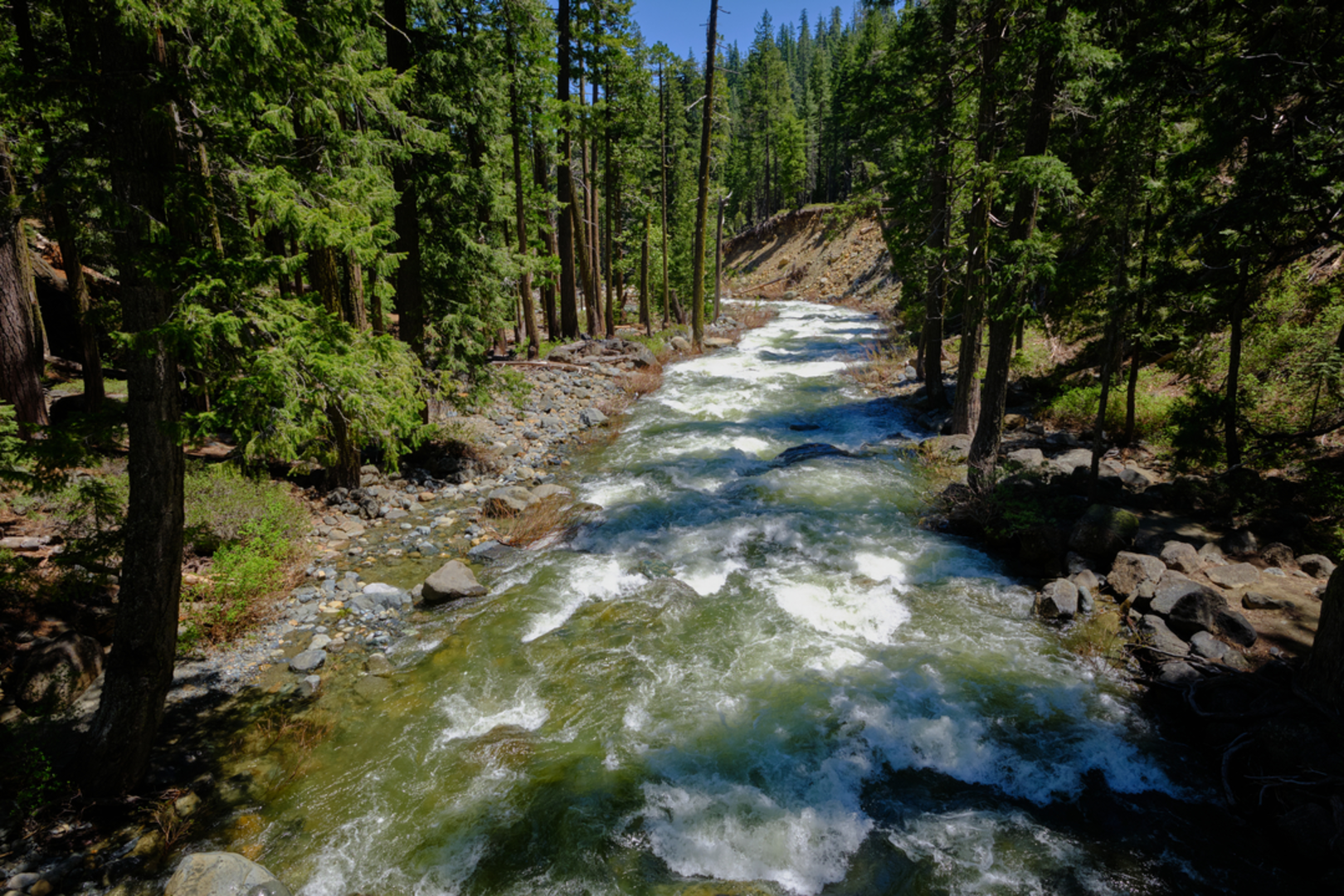 An image depicting the trail Swift Creek Trail and its surrounding area.