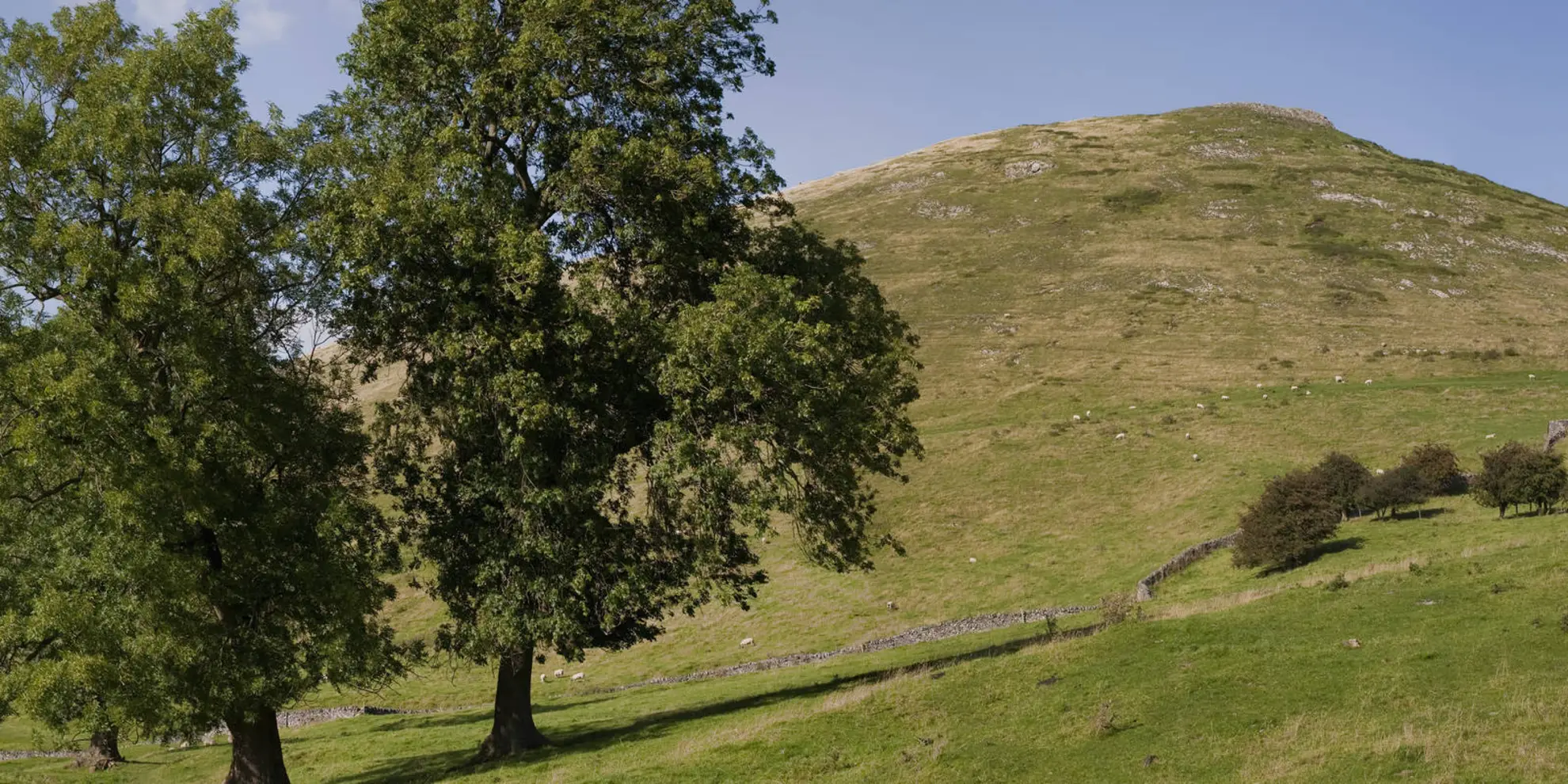 An image depicting the trail Dovedale and the Manifold Valley from Ilam and its surrounding area.