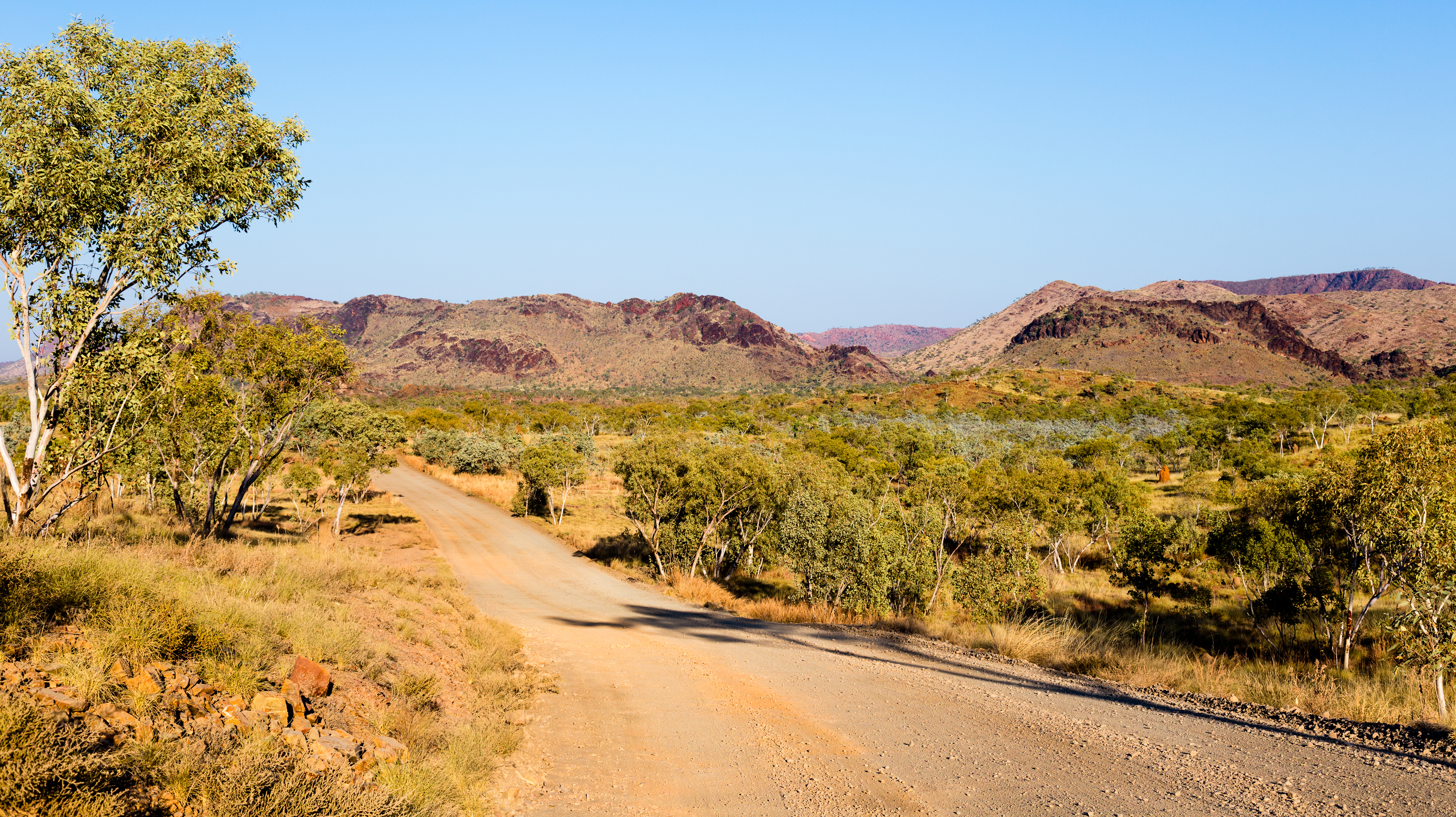 An image depicting the trail Windjana Gorge National Park and its surrounding area.