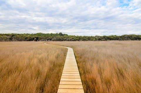 Tautuku Walk - Tautuku Estuary Boardwalk
