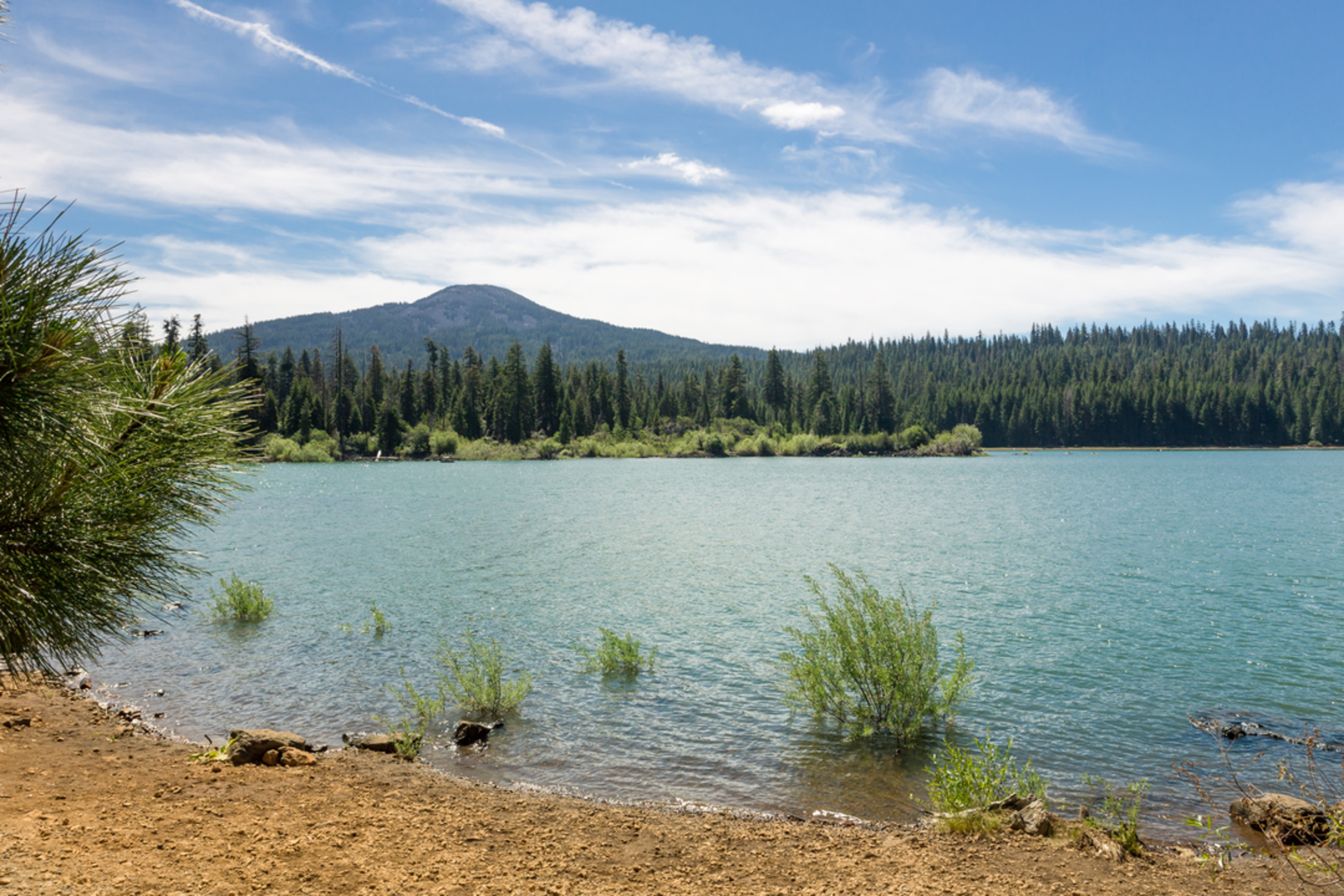 An image depicting the trail Beaver Swamp Trail and its surrounding area.