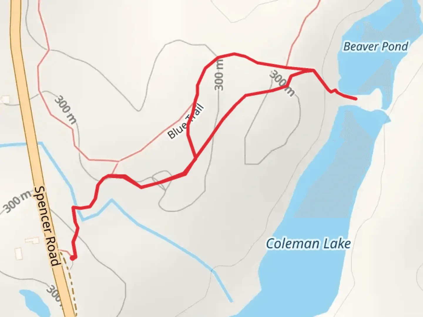 An image depicting the trail Beaver Pond and its surrounding area.