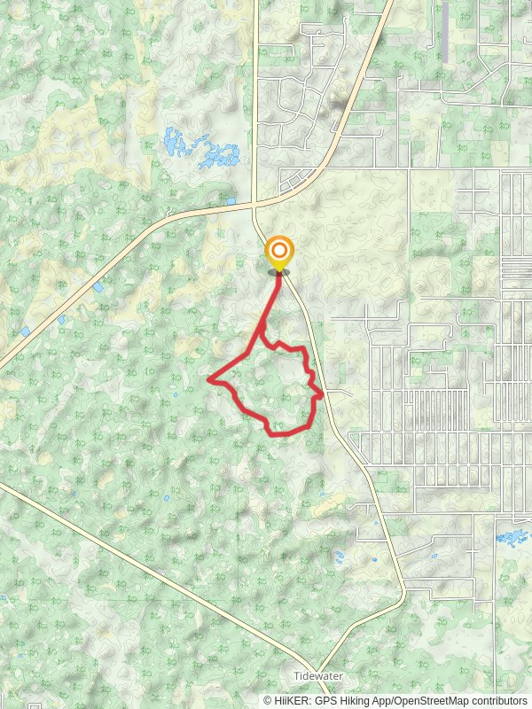 Goethe State Forest Loop Trail