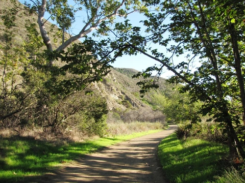 An image depicting the trail Wood Canyon Trail and its surrounding area.