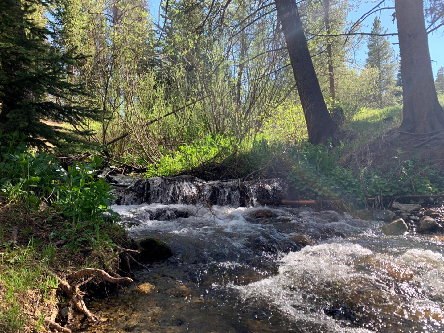 An image depicting the trail Burro Trail and its surrounding area.