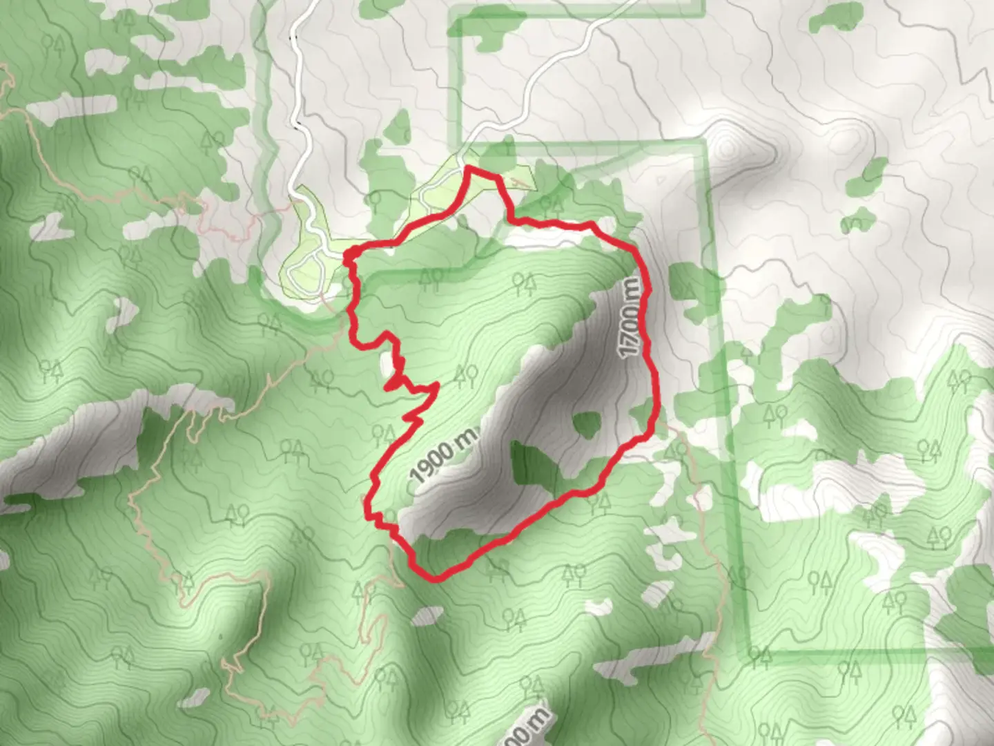 An image depicting the trail Indian Hollow and Pine Tree Loop Trail and its surrounding area.