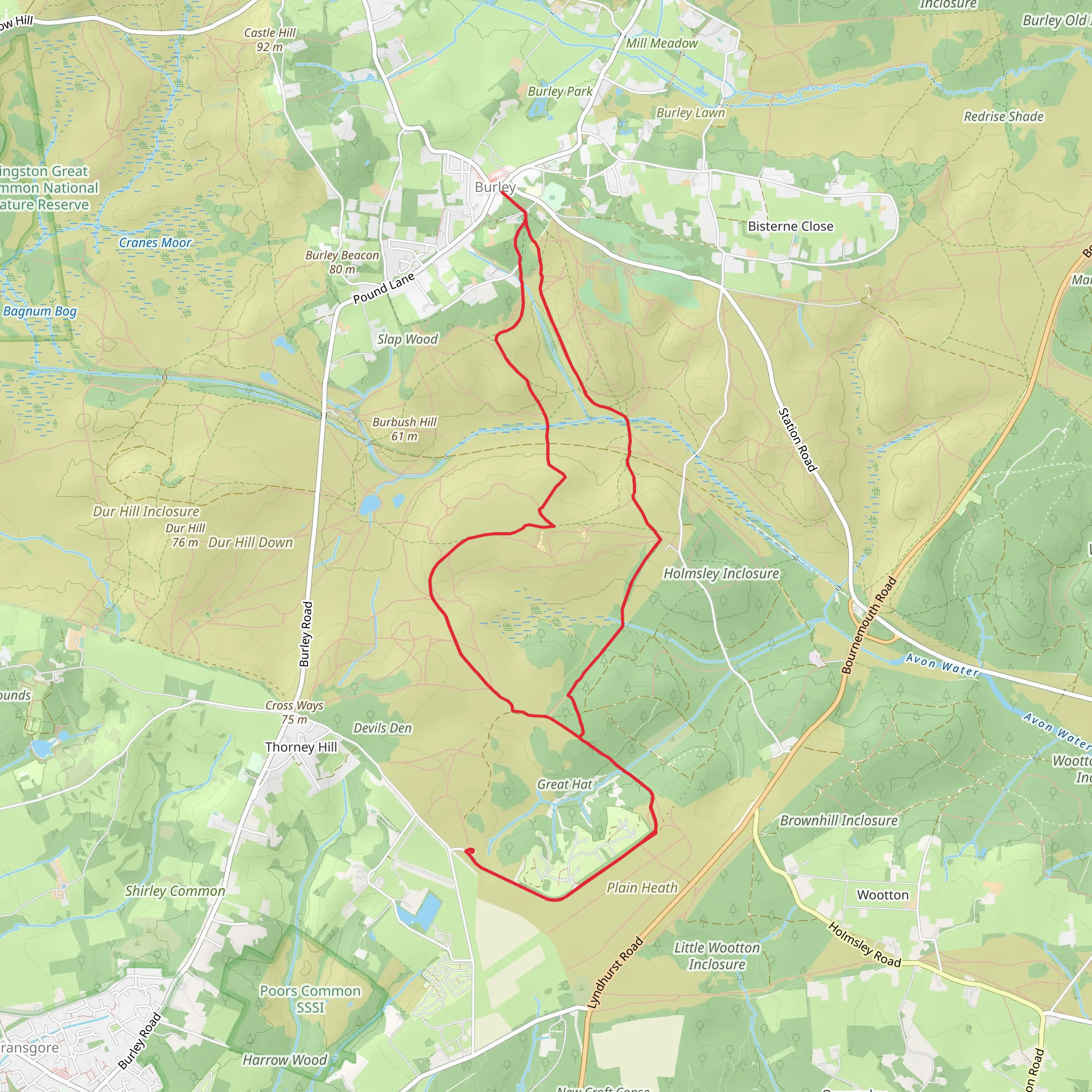 Holmsley Inclosure Loop - Burley mobile static map