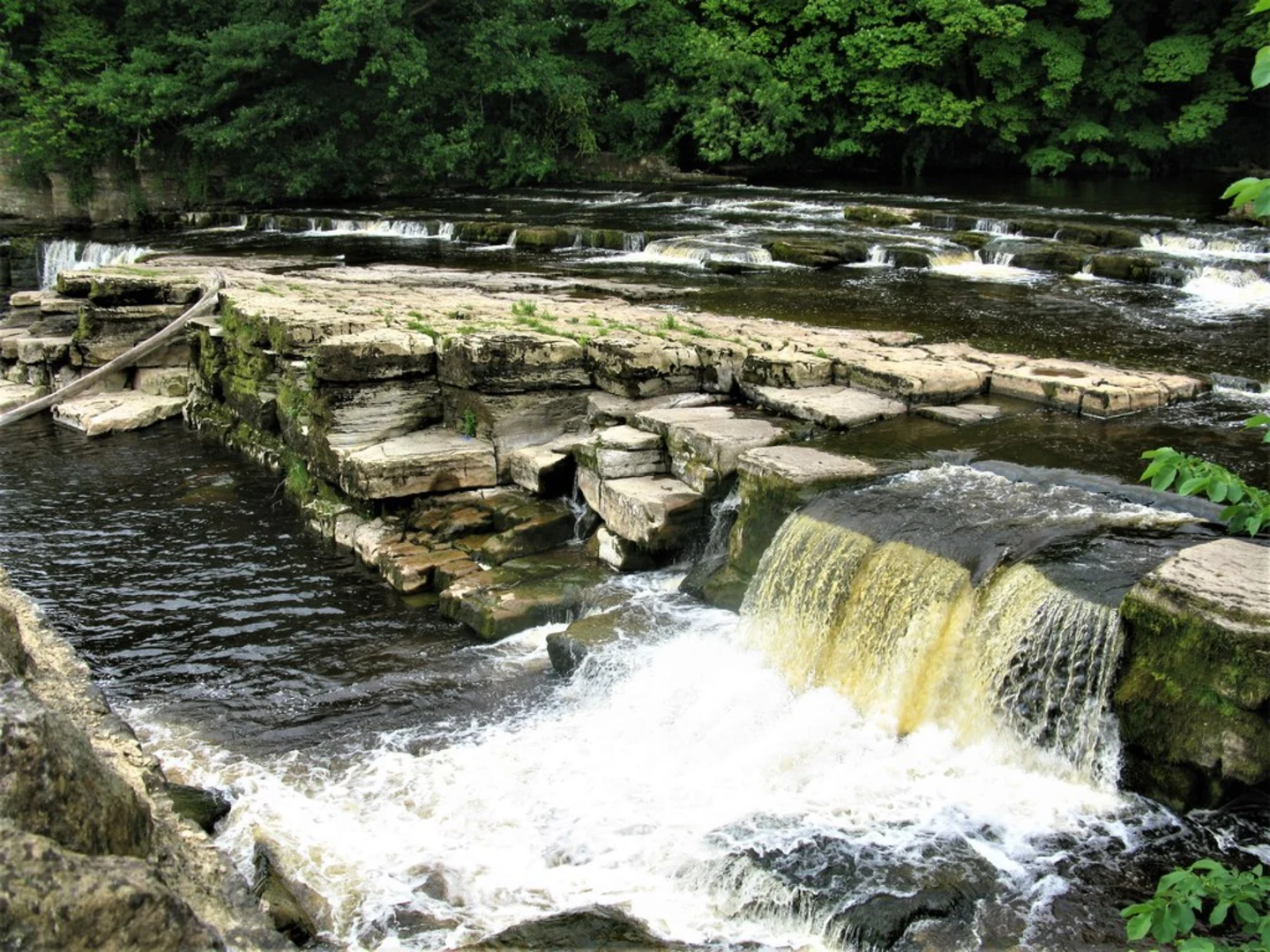 An image depicting the trail Richmond Falls in St Martin's Country Park and its surrounding area.