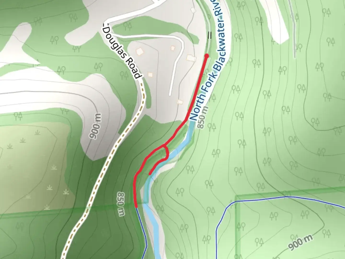 An image depicting the trail North Fork Blackwater River and its surrounding area.
