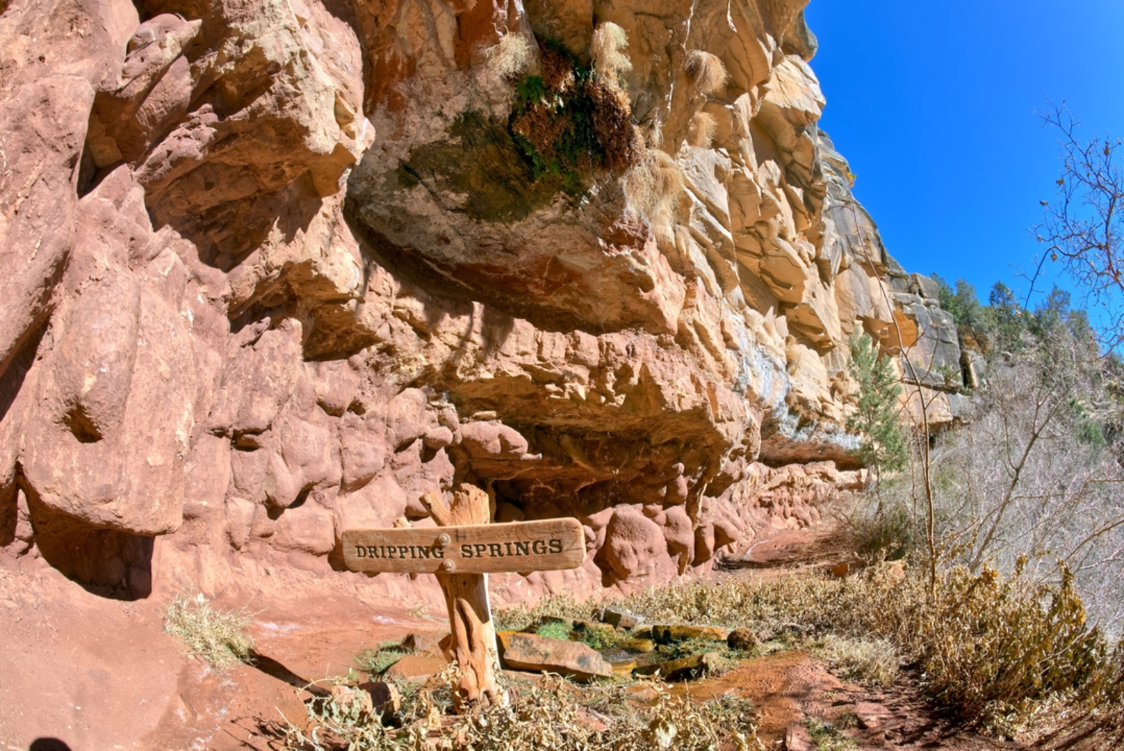 An image depicting the trail Dripping Springs Mine Trail and its surrounding area.