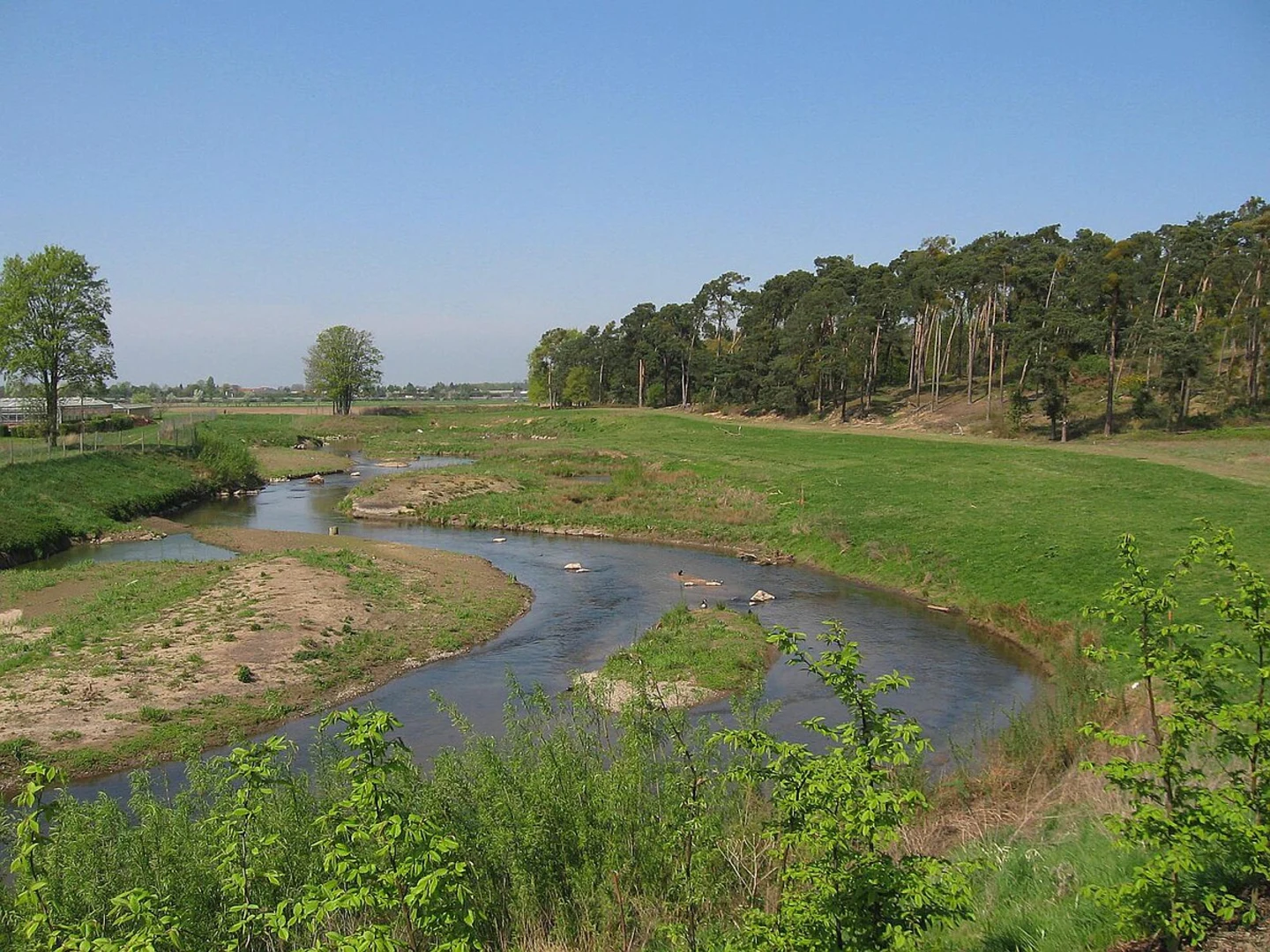 An image depicting the trail Rahnenhof Rundweg 4 and its surrounding area.