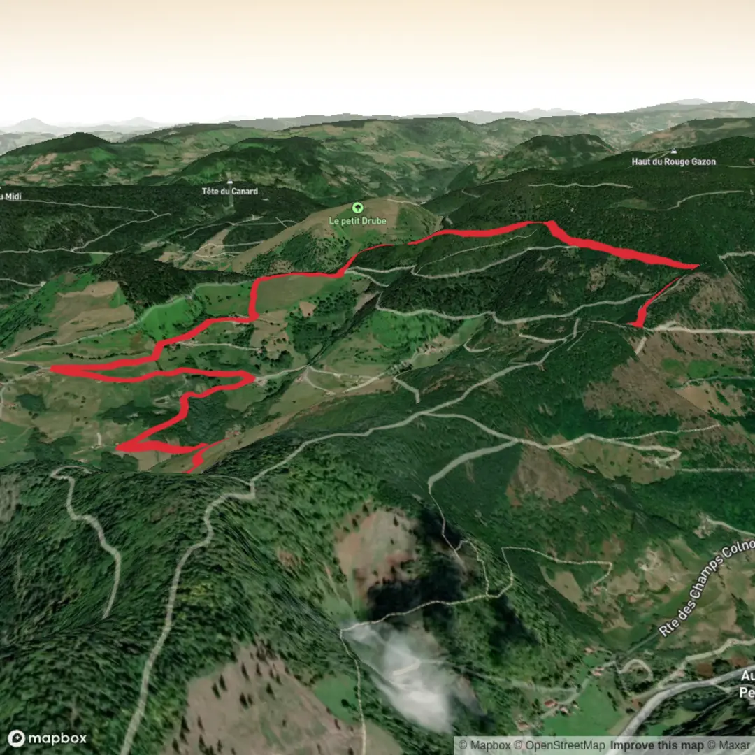 An image depicting the trail Naturpark Ballons des Vosges - Feb. 14 Modelle and its surrounding area.