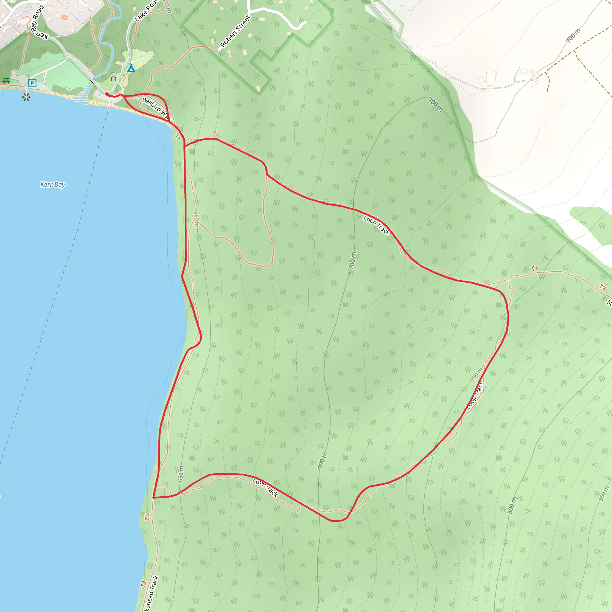 Lake Rotoiti - Kerr Bay - Loop Track mobile static map