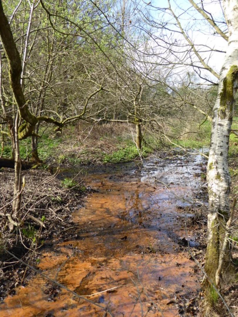 An image depicting the trail Wilmslow Loop and its surrounding area.