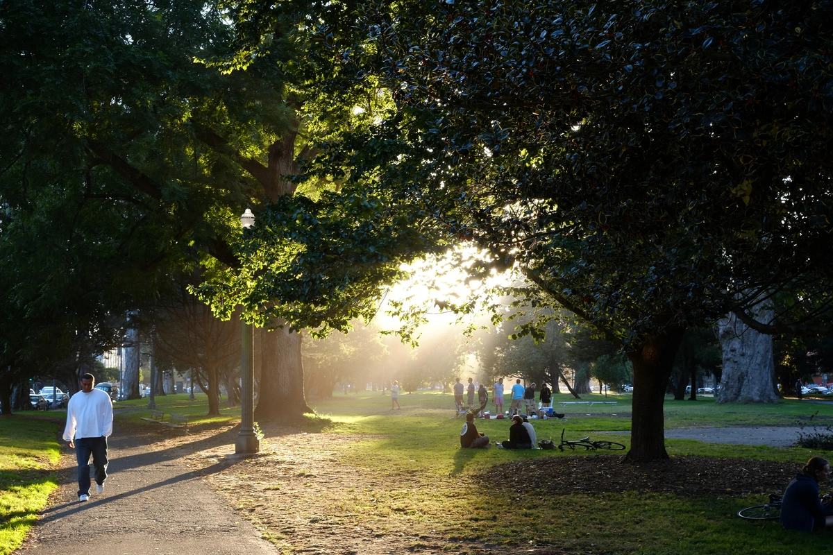 The Panhandle Park Loop