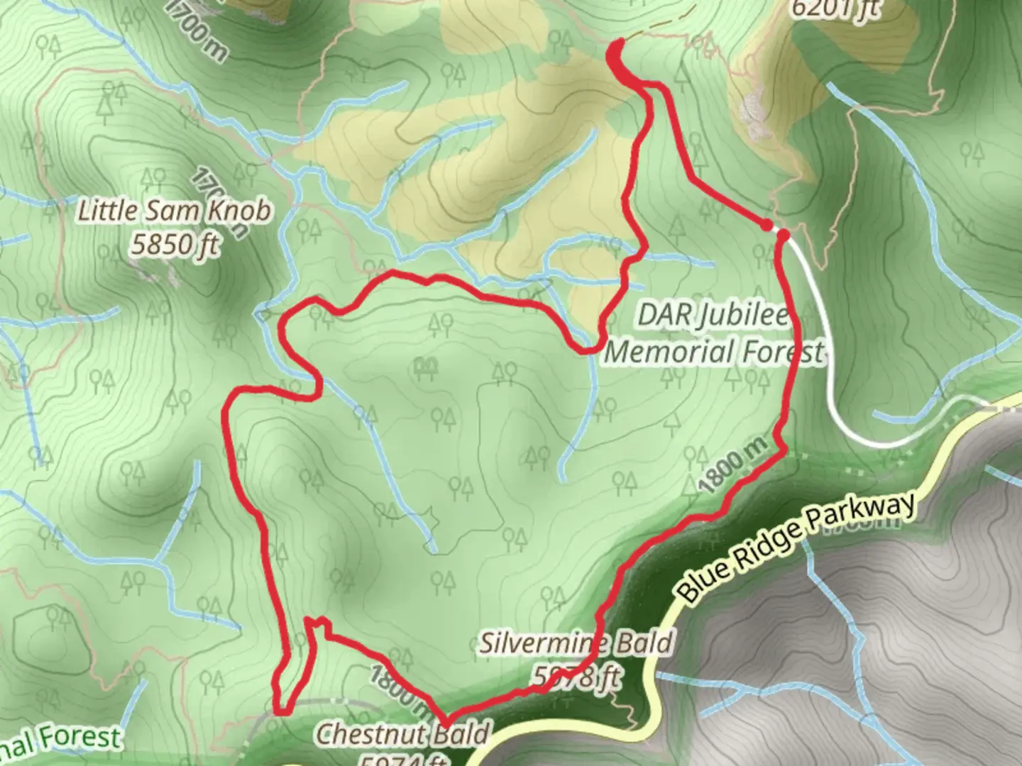 An image depicting the trail Silvermine Bald and Little Sam Loop Trail and its surrounding area.