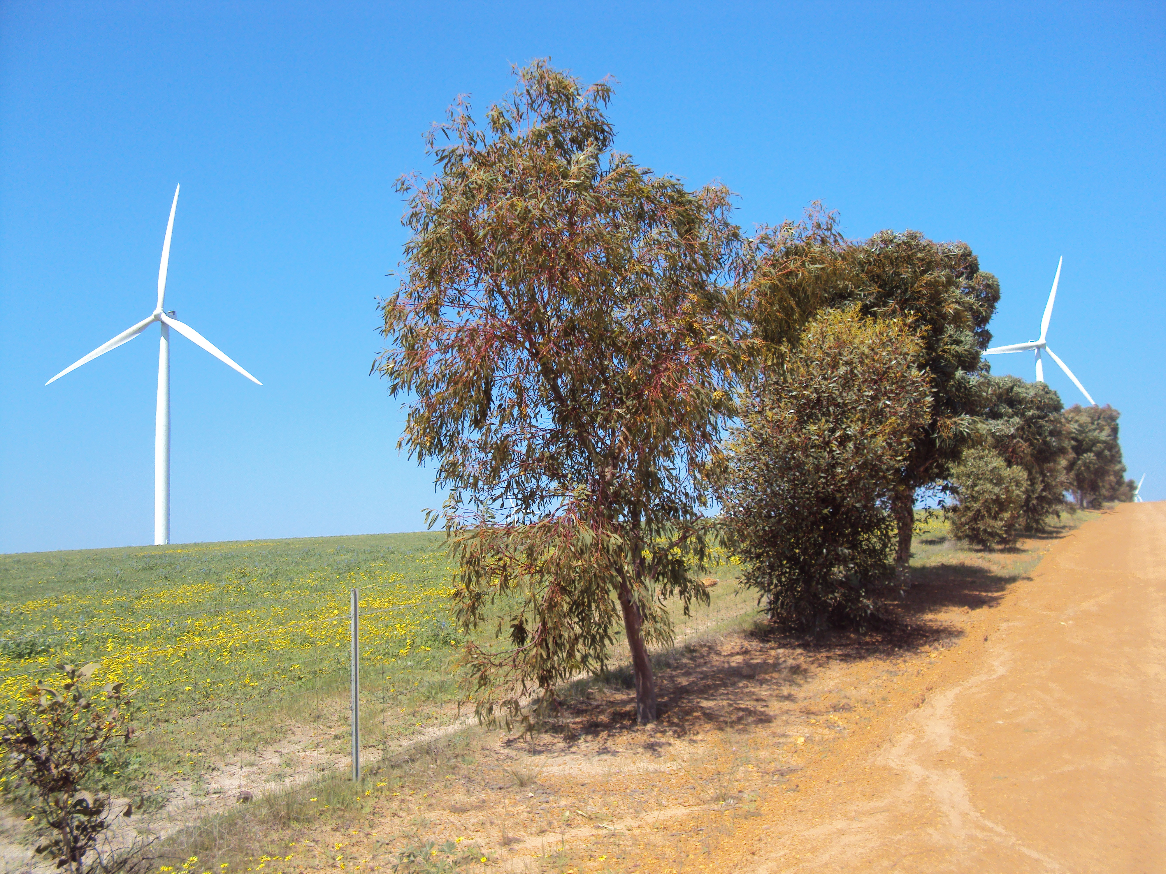 An image depicting the trail Badgingarra National Park and its surrounding area.
