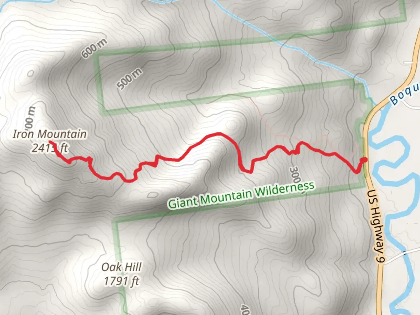 An image depicting the trail Iron Mountain Out and Back Trail and its surrounding area.