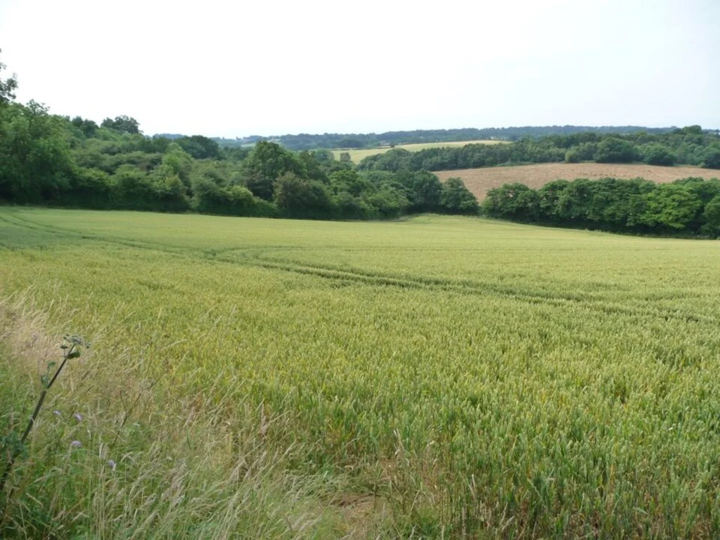 An image depicting the trail Rowley Wood and Leeds Country Way and its surrounding area.