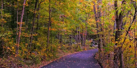 An image depicting the trail Schuylkill River and Perkiomen Trails and its surrounding area.