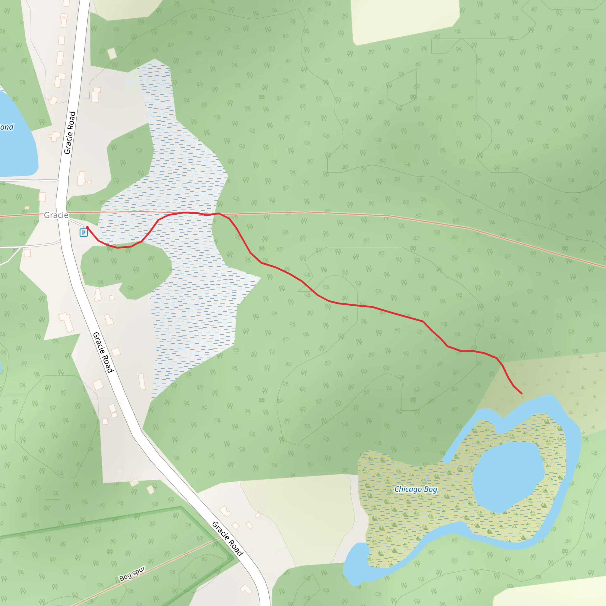 Gracie Road Walk mobile static map