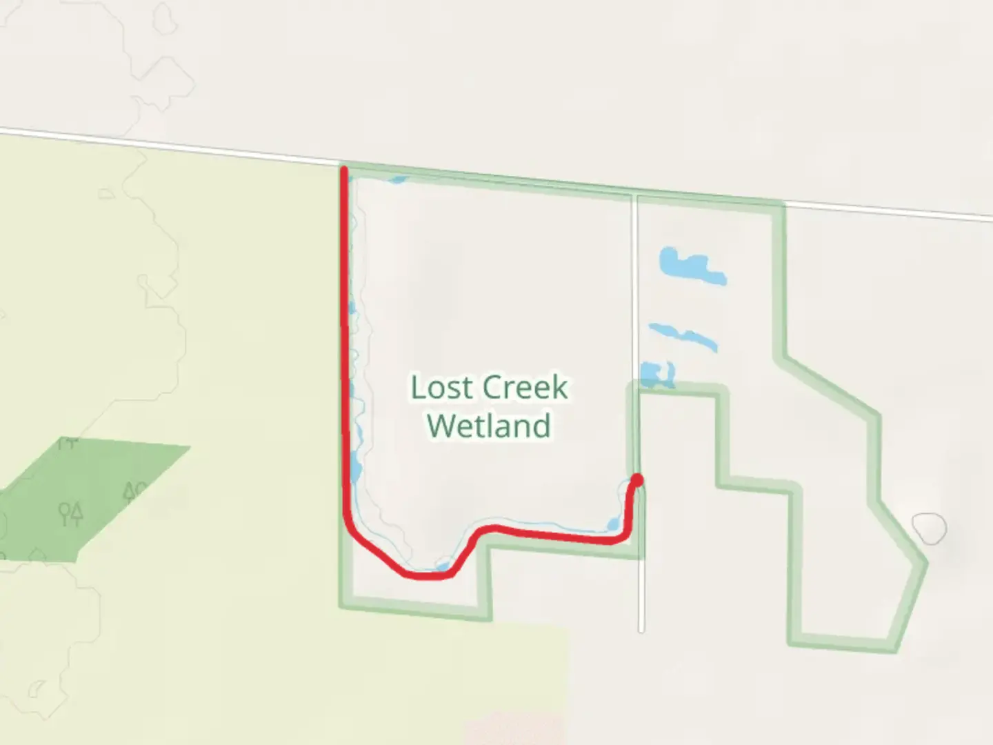 An image depicting the trail Lost Creek Wetland Hiking Trail and its surrounding area.