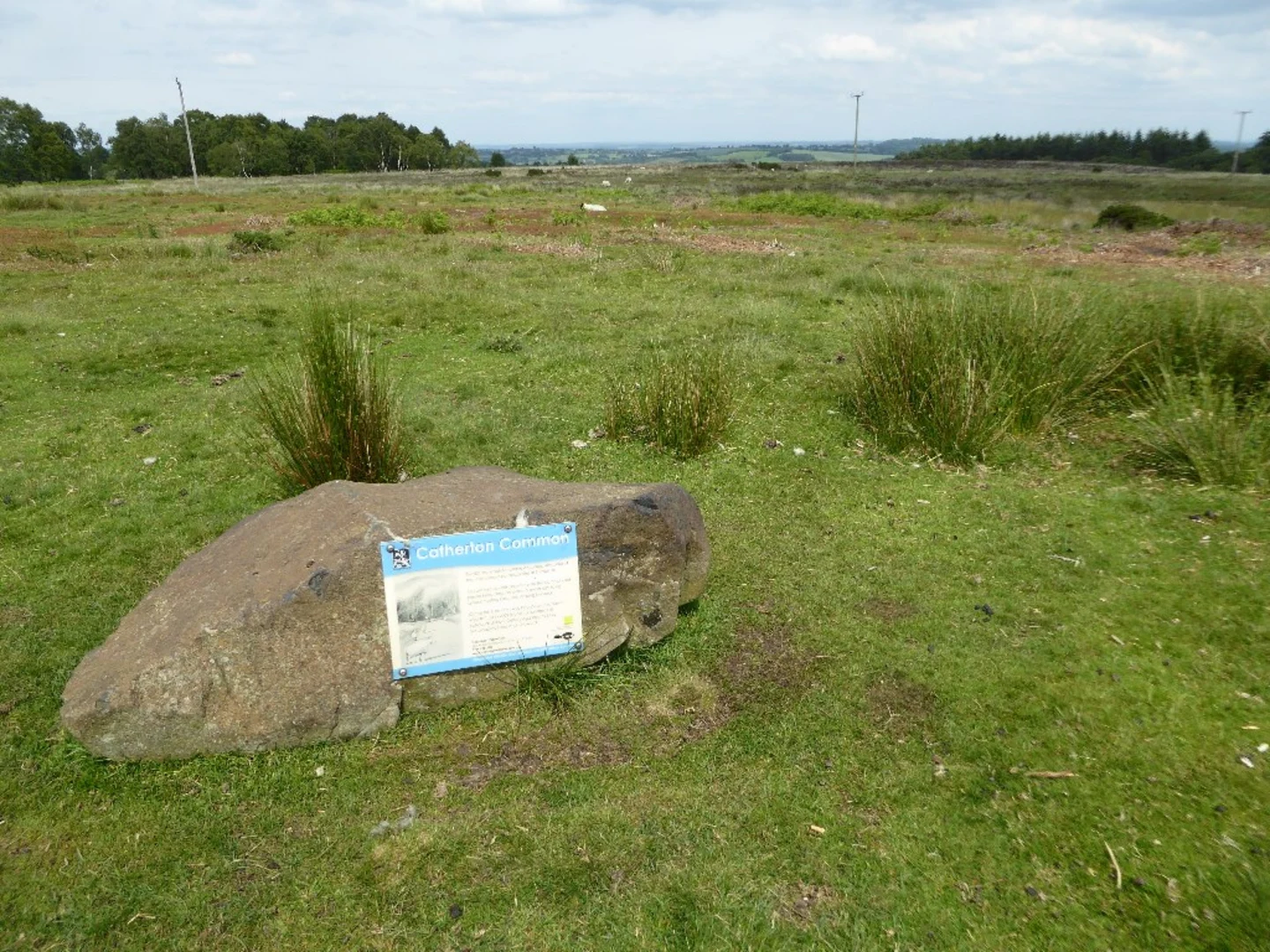 An image depicting the trail Cramer Gutter and Catherton Loop and its surrounding area.