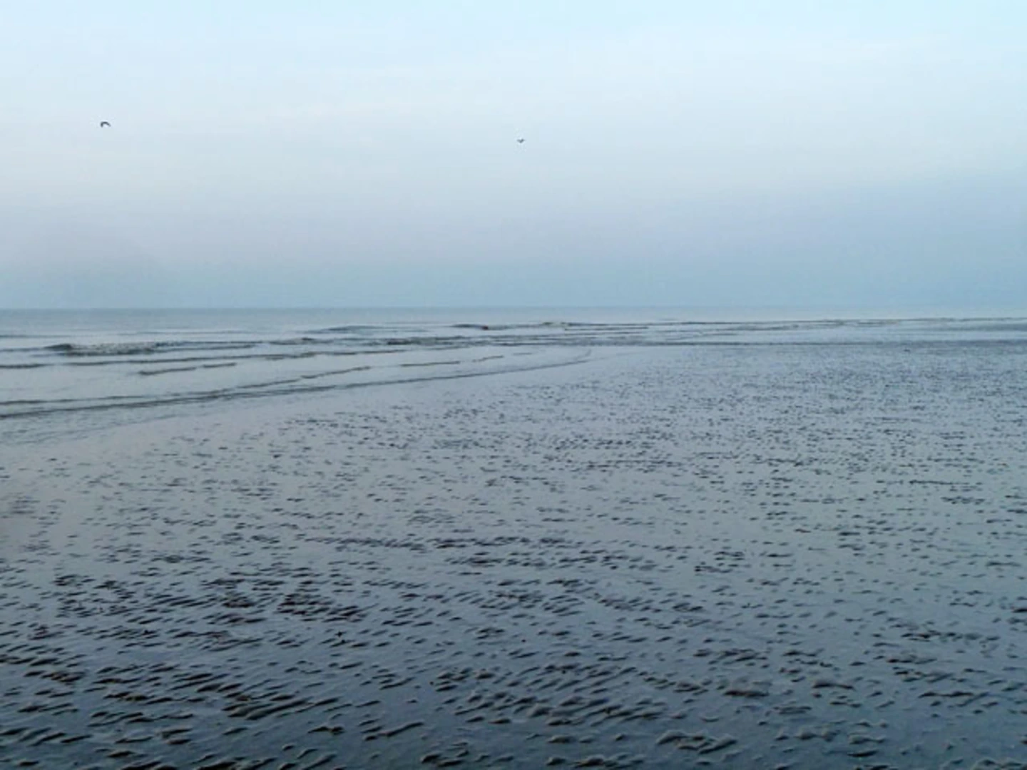 An image depicting the trail Walk to Cooden Beach and its surrounding area.
