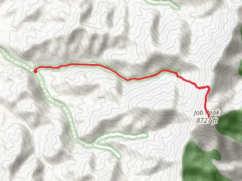 Job Peak Out and Back